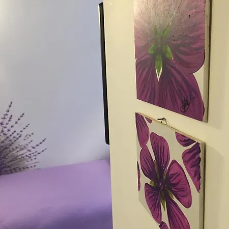 Aroma 2 奥维多
