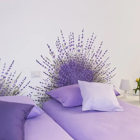 Aroma 2 *